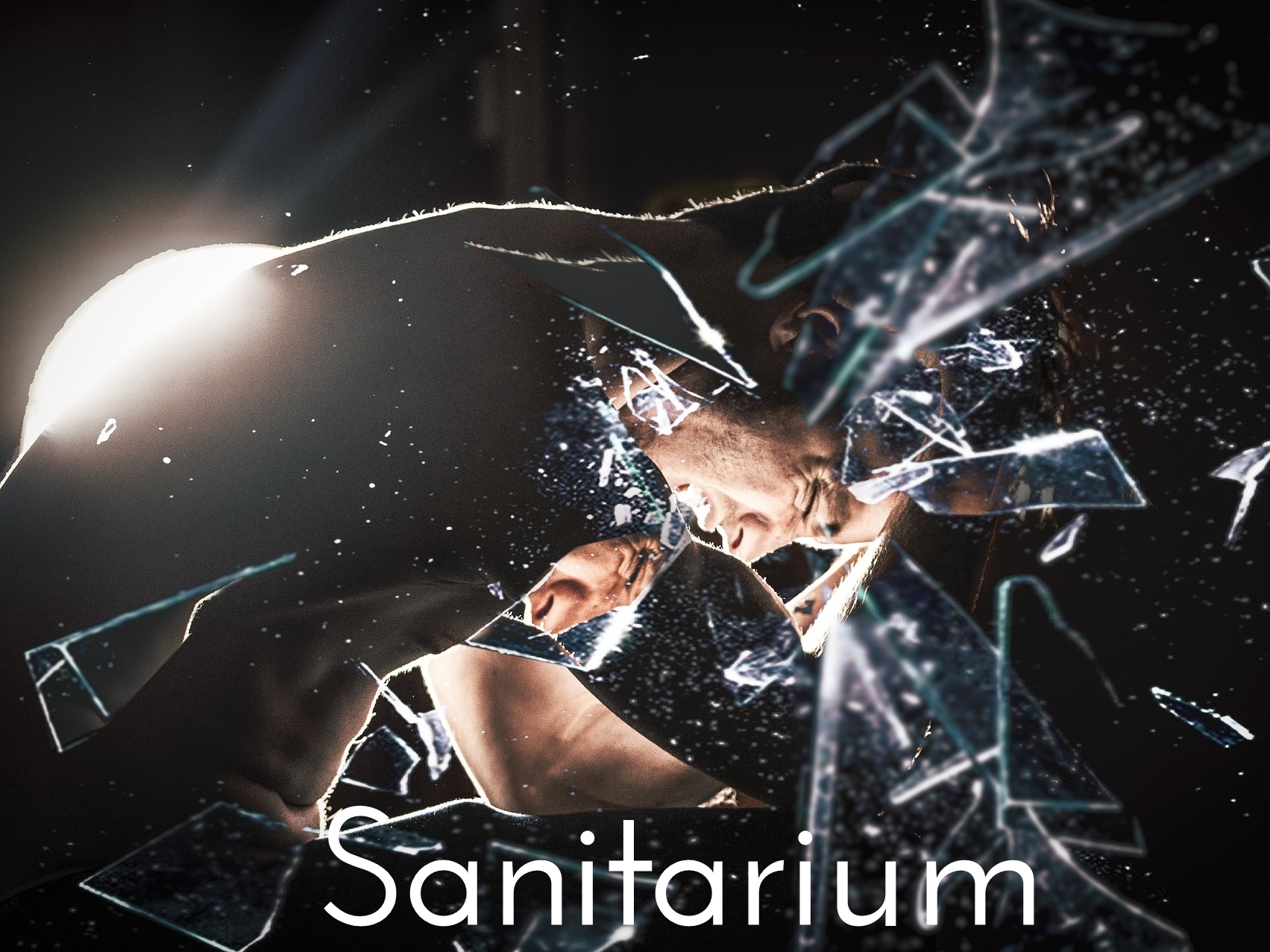 Sanitarium - cover (Fotó: Pixabay)