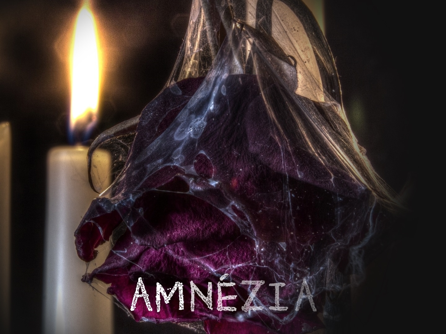 Amnézia - cover (Fotó illusztráció: Pixabay)