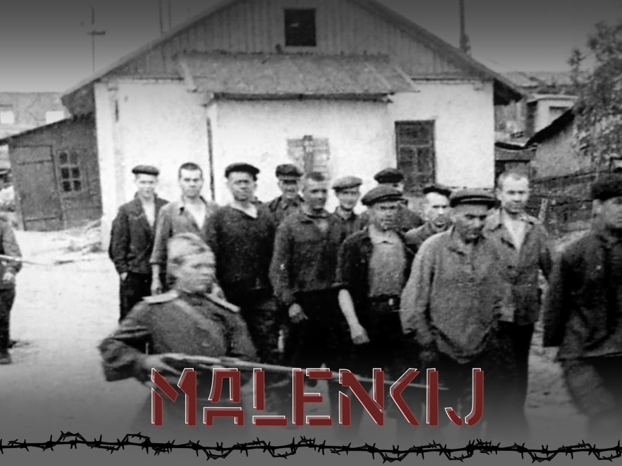 Malenkij - cover (Fotó illusztráció: Pixabay)