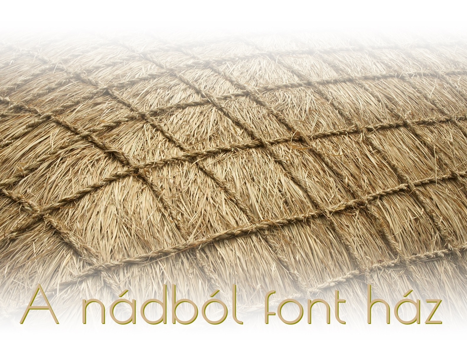 A nádból font ház (Grafika: Kamara Larp)