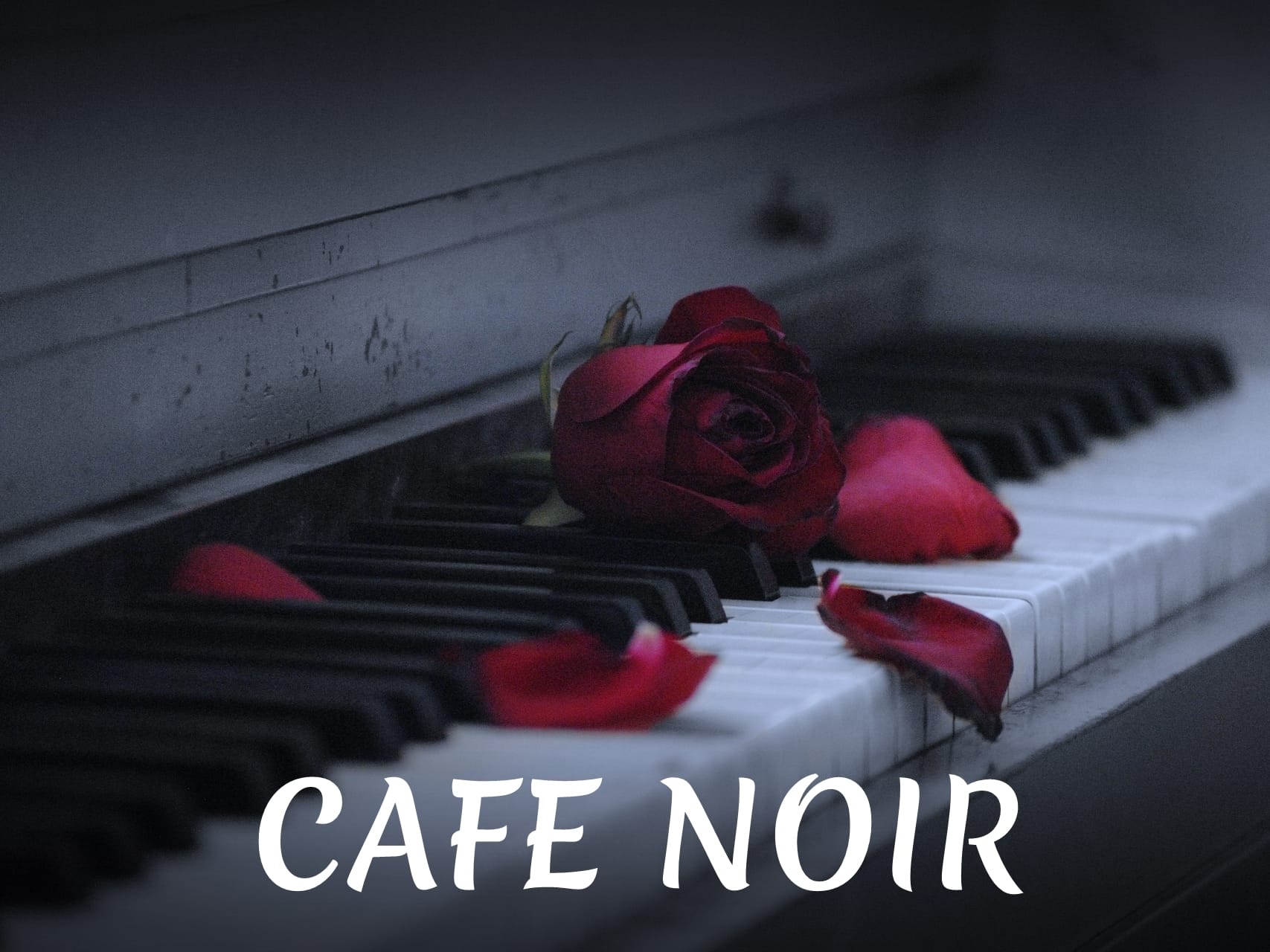 Cafe Noir (Illusztráció: Kamara Larp)