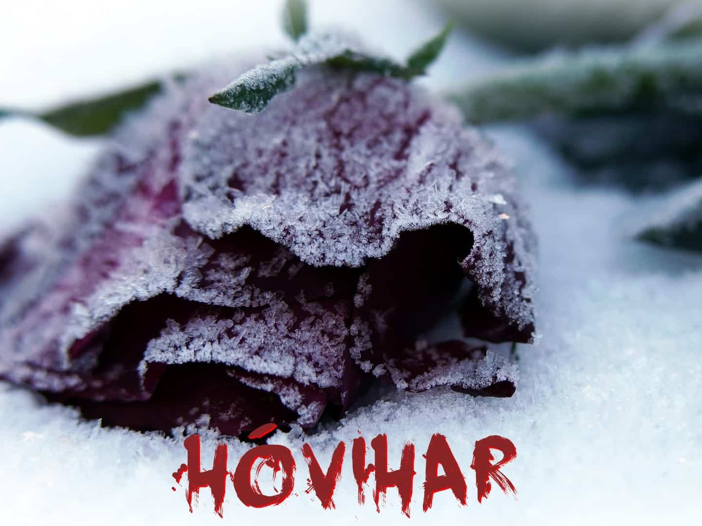 Hóvihar (Illusztráció: Kamara Larp)